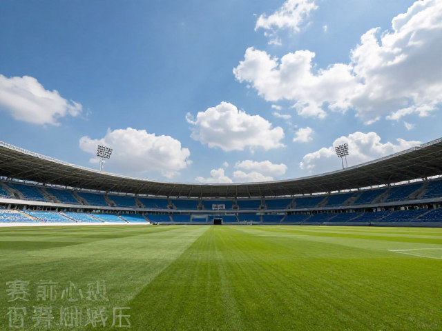 天气场地变化预案：动态适应与快速决策