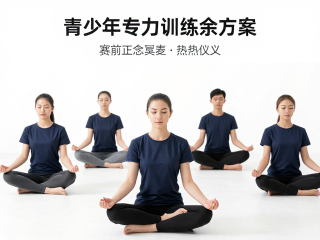 数据反馈与习惯养成