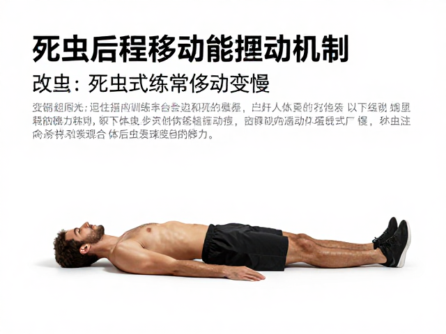 职业球员体能案例，死虫训练改善后程移动变慢，提升耐力表现