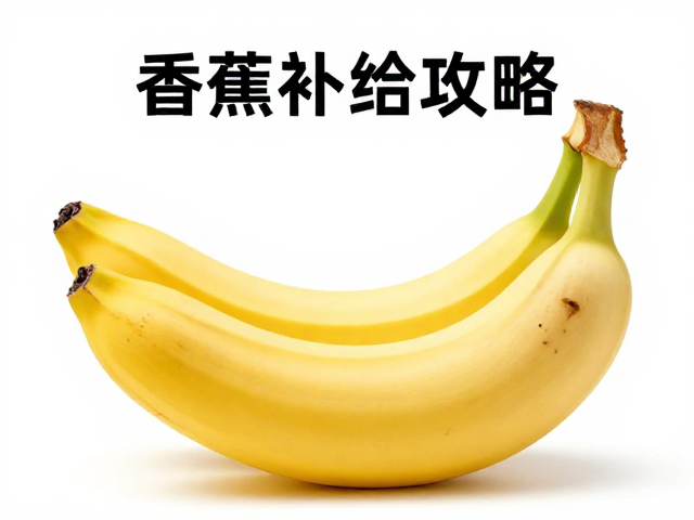 维持爆发力输出的生理关联