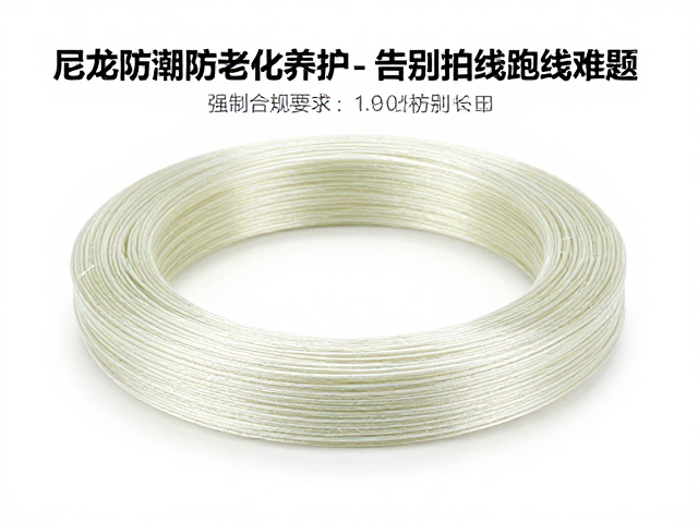 科学防潮与老化控制策略