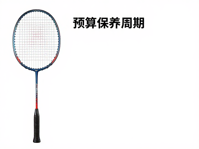 预算与选购核心要素