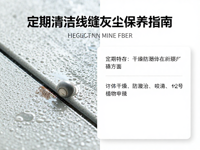 科学干燥与防潮存储的正确方式