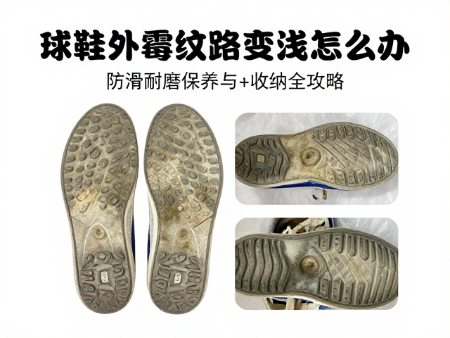 防霉处理与干燥环境维持