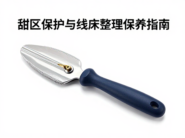 日常存放环境与物理防护策略