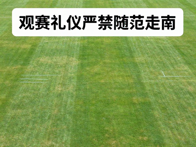 草地赛场严禁随意走动的深层原因