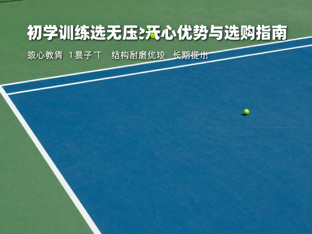 训练建议与长期使用技巧