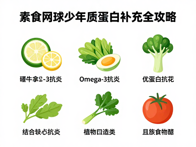 核心食材解析:构建抗炎与高蛋白的植物矩阵