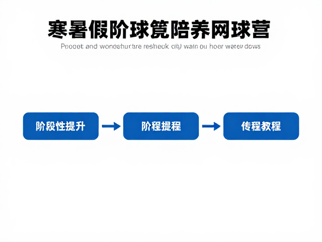 阶段性提升的科学路径与能力可视化