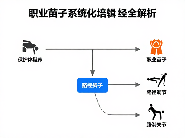 职业苗子系统化培养，动作保护关节，赛事指导经验全解析