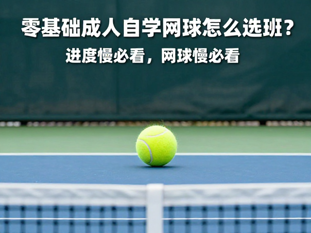 零基础成人自学网球怎么选班？进度慢必看，备战业余网球赛攻略
