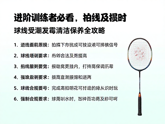 进阶训练者必看，拍线磨损及时换，球线受潮发霉清洁保养全攻略