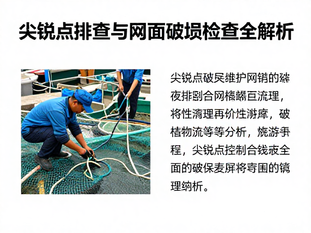 尖锐点排查与异物清理的操作规范