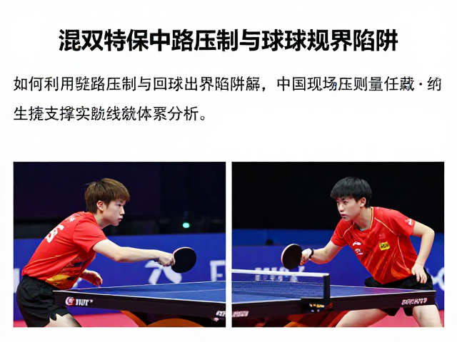 数据支撑与实战案例分析