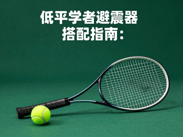 避震器对击球手感的物理影响