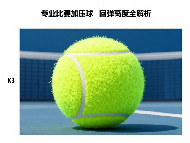 专业比赛加压球的回弹高度解析与物理特性