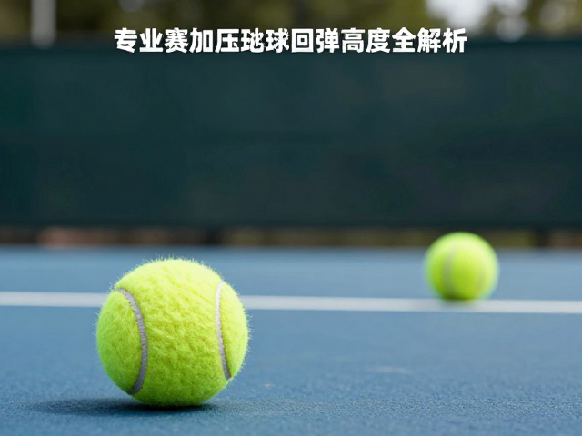 教学用球的技术参数对比与训练场景适配