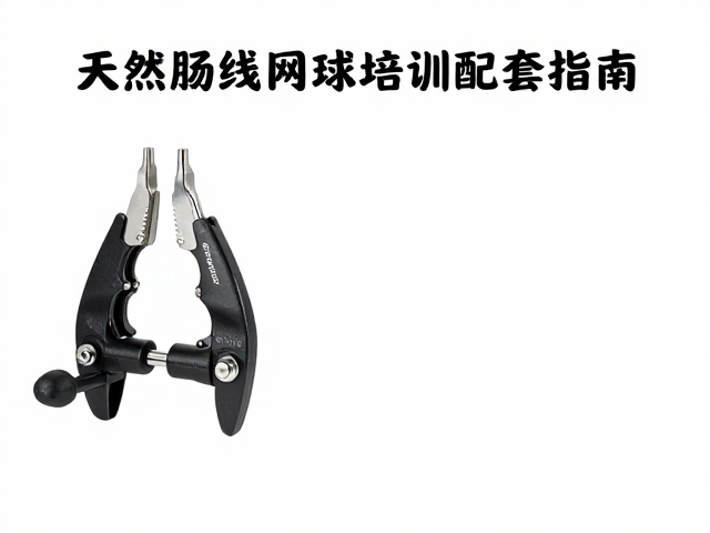 天然肠线特性下的夹具压力调节策略