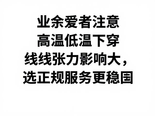 选择专业服务的长期价值与风险控制