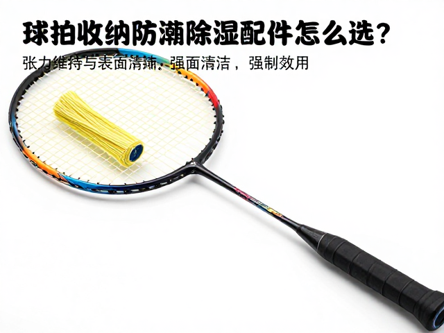 拍线保养:张力维持与表面清洁