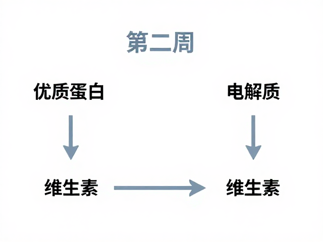 高效能量转换:从摄入到利用的科学路径