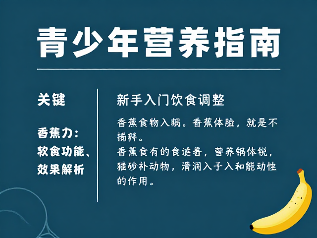 新手入门的基础饮食调整策略