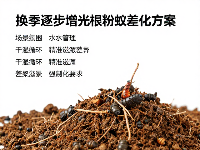 水分管理:干湿循环与精准灌溉的差异化执行