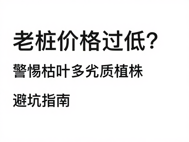 避坑指南与选购建议
