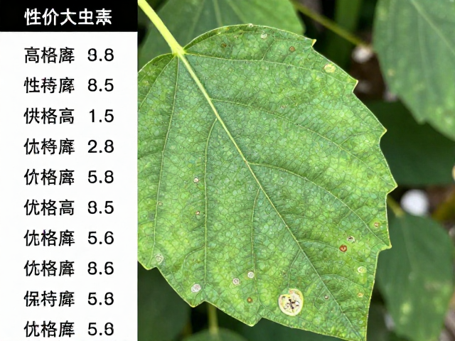 重点检查叶背虫害