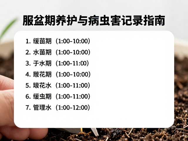服盆期养护:缓苗环境与水分管理