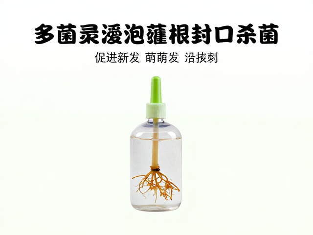 封口保护与促根环境营造