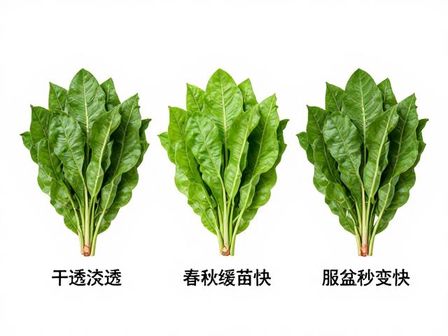 精准判断干湿状态与浇水策略