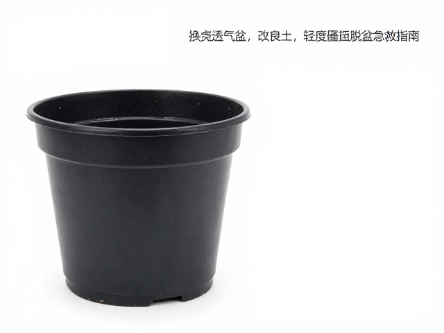 透气盆器的选择与根系环境重塑