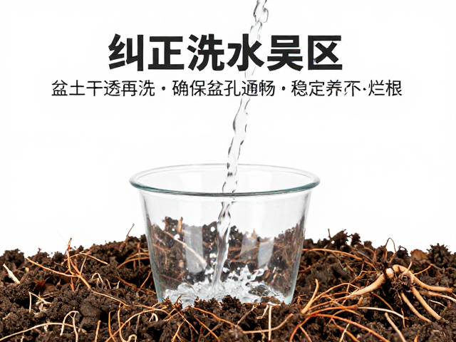 环境因子对浇水频率的动态影响