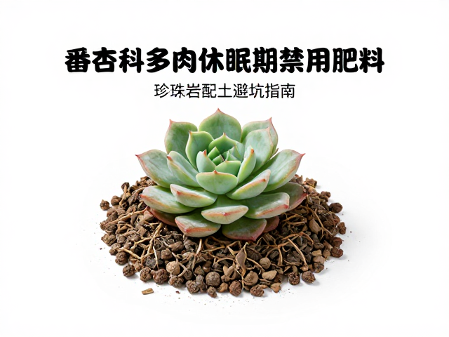 番杏科多肉休眠期禁用肥料，珍珠岩配土避坑指南