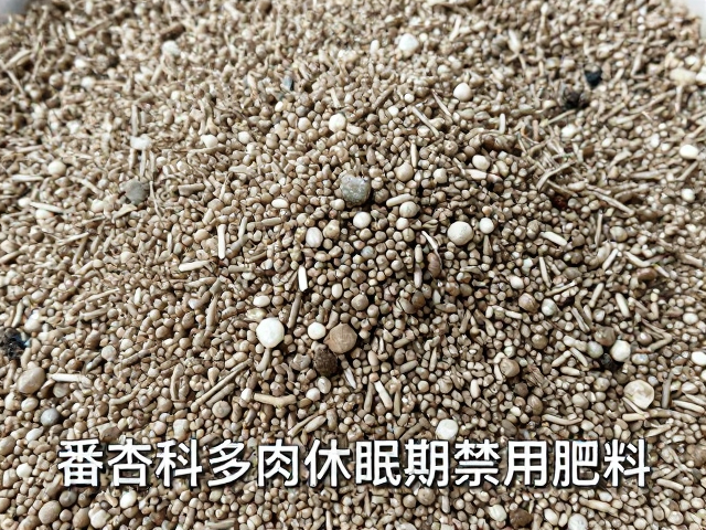 珍珠岩在配土中的核心作用与潜在误区
