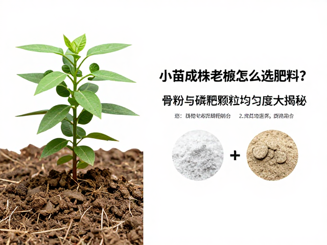实际施用中的操作细节与注意事项