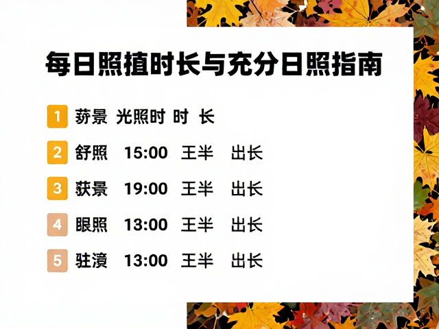 充分日照与环境调控指南