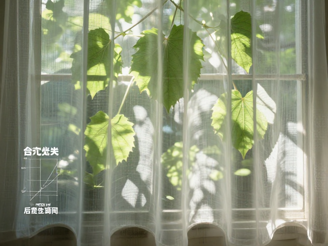 缺光必看，叶片摊开纱帘过滤，全年光照摆放调整规划总结
