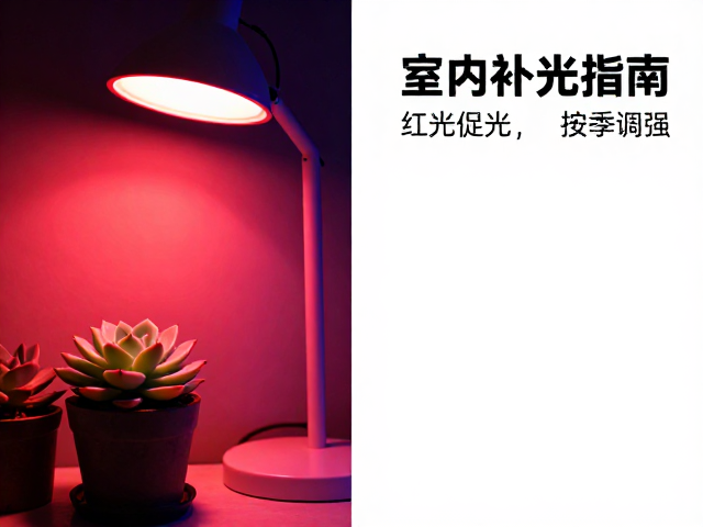 红光与蓝光的光谱生理效应
