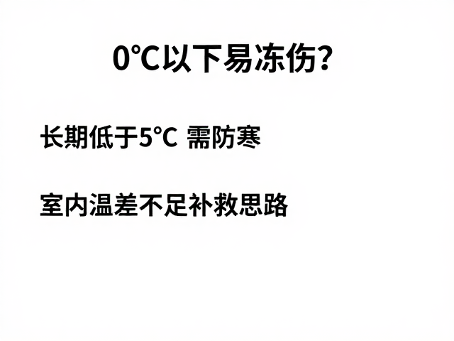 0℃以下易冻伤？长期低于5℃需防寒，室内温差不足补救思路