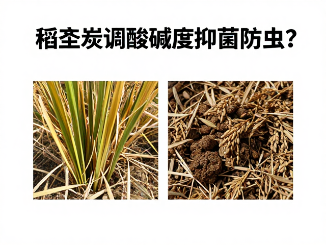 保水能力与透气性的平衡艺术