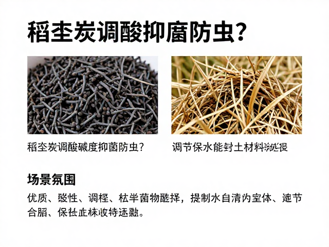 实际应用中的注意事项与误区规避