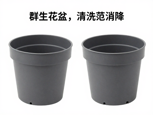 新盆清洗与消毒:去除隐患的第一步
