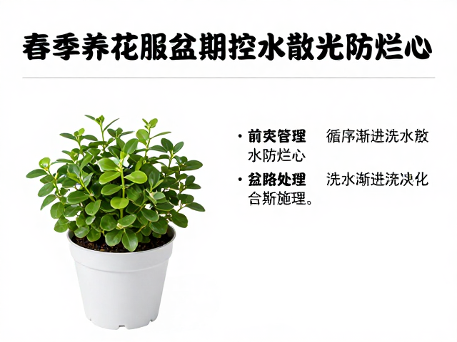 常见误区与应急处理