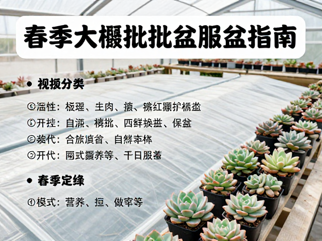 季节性过渡与长期养护规划