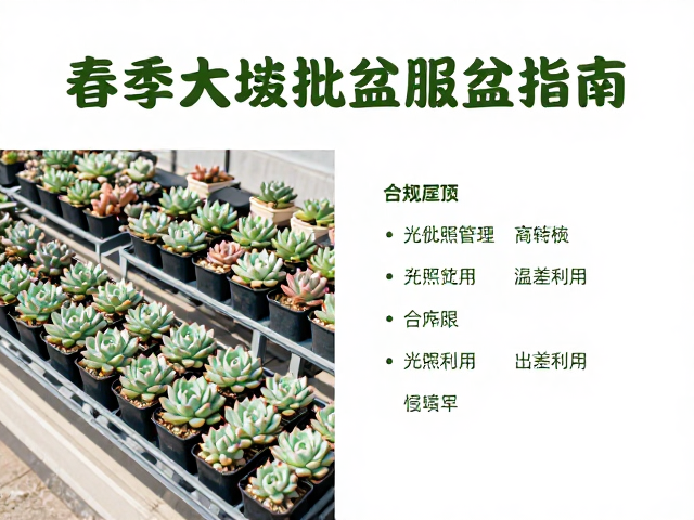 屋顶露养的光照管理与温差利用