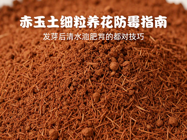 赤玉土细粒养花防霉指南，发芽后浇水施肥与霉菌感染应对技巧
