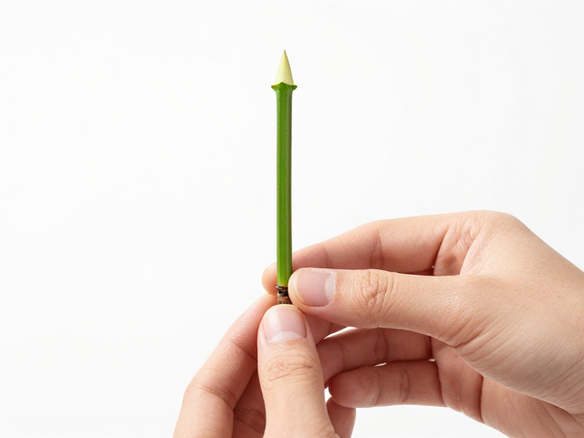 嫁接后的环境管理与成活率保障