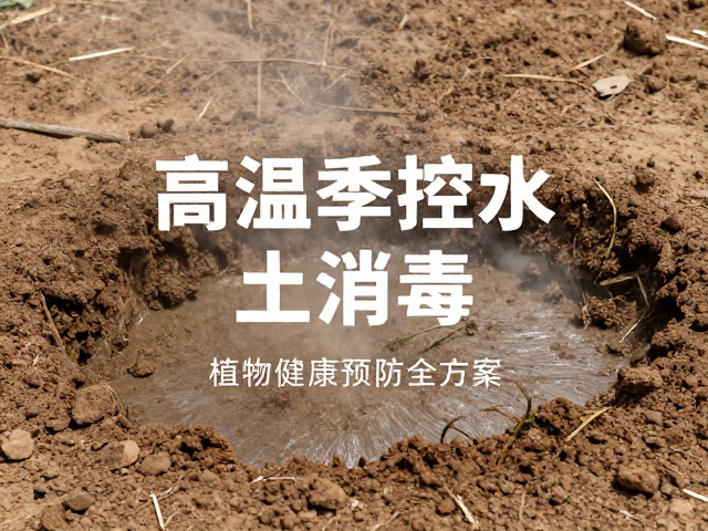 旧土消毒:阻断高温高湿下的病原温床